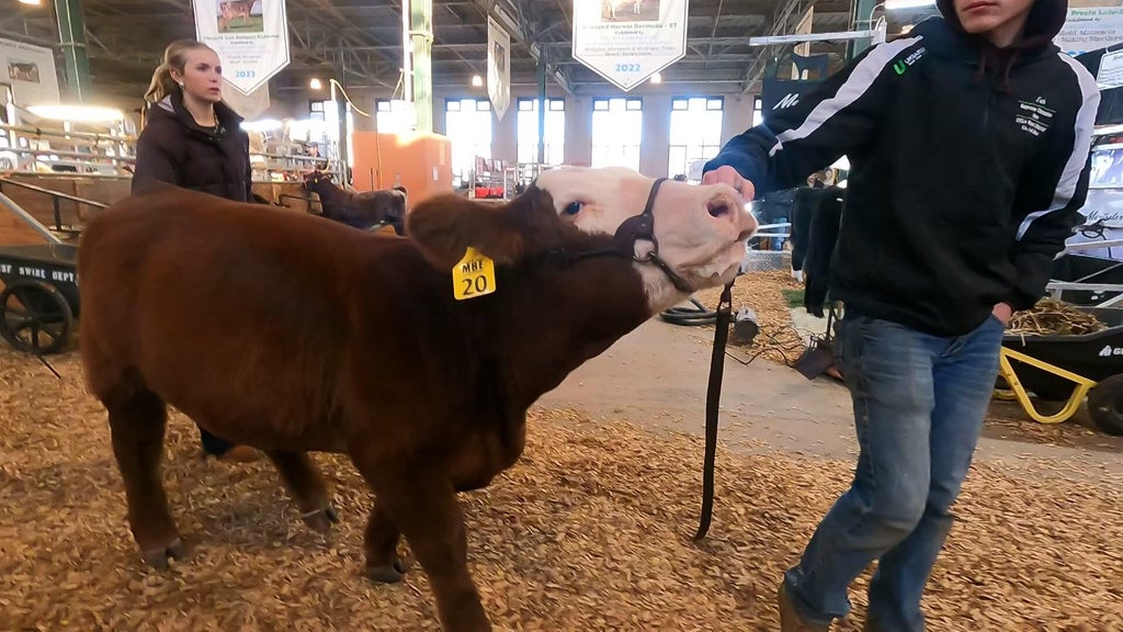 Spotlight on beef as Minnesota midterms near — WCCO / CBS Minnesota, Waconia Community news
