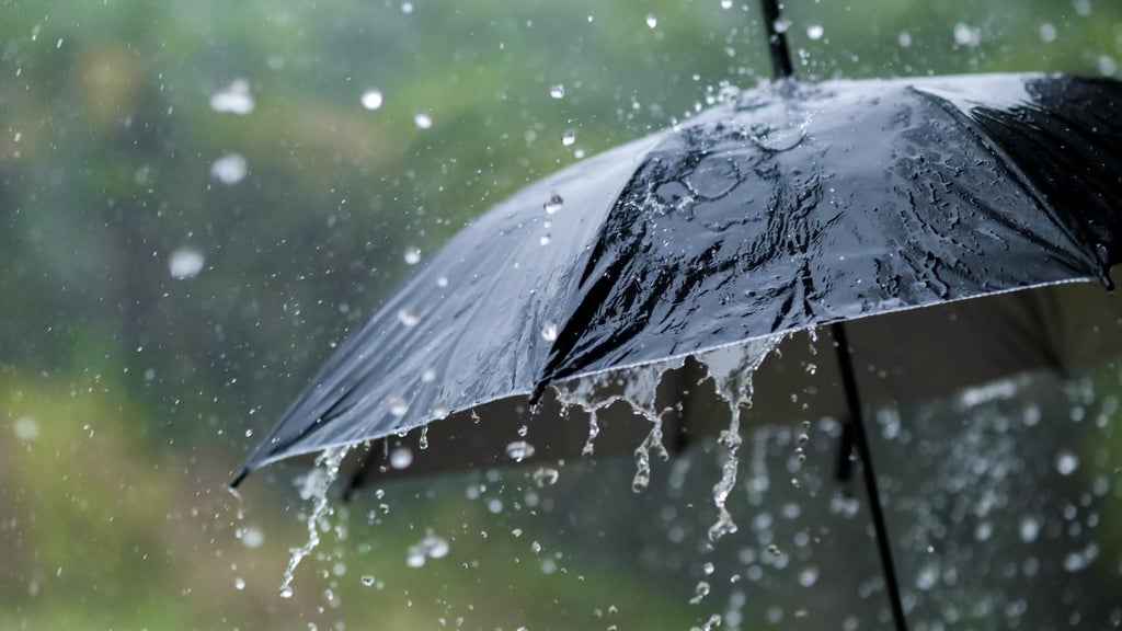 Widespread rain in Minnesota Monday; milder air returns Tuesday — WCCO / CBS Minnesota, Waconia Community news