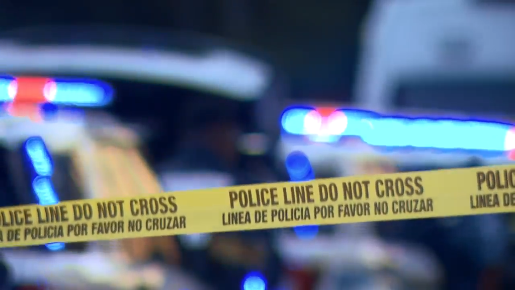 Man accused of stabbing, killing his own mother in Tamarac, BSO says — CBS Miami, Waconia Health news