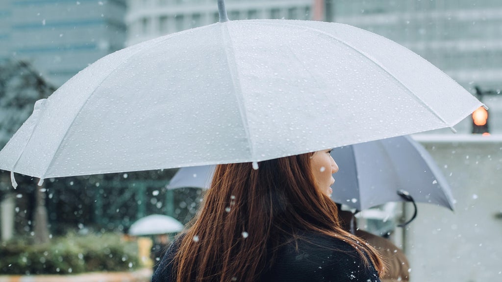 Soggy, chilly Thursday in the Twin Cities; season's first frost possible Saturday — WCCO / CBS Minnesota, Waconia Sports news