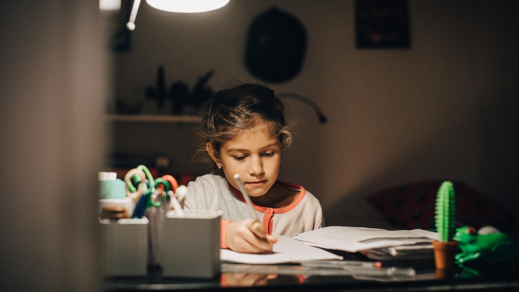 Homework right after school or after dinner? Expert says the best time depends on the child — Waconia Health news