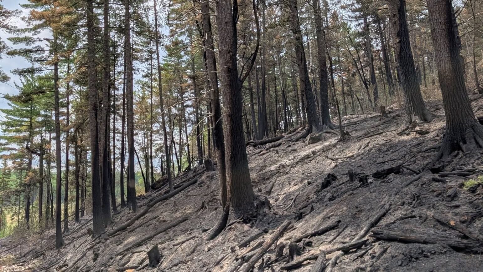 74-year-old who became separated from his family on a trail in Ely was discovered dead — KSTP 5, Waconia Community news
