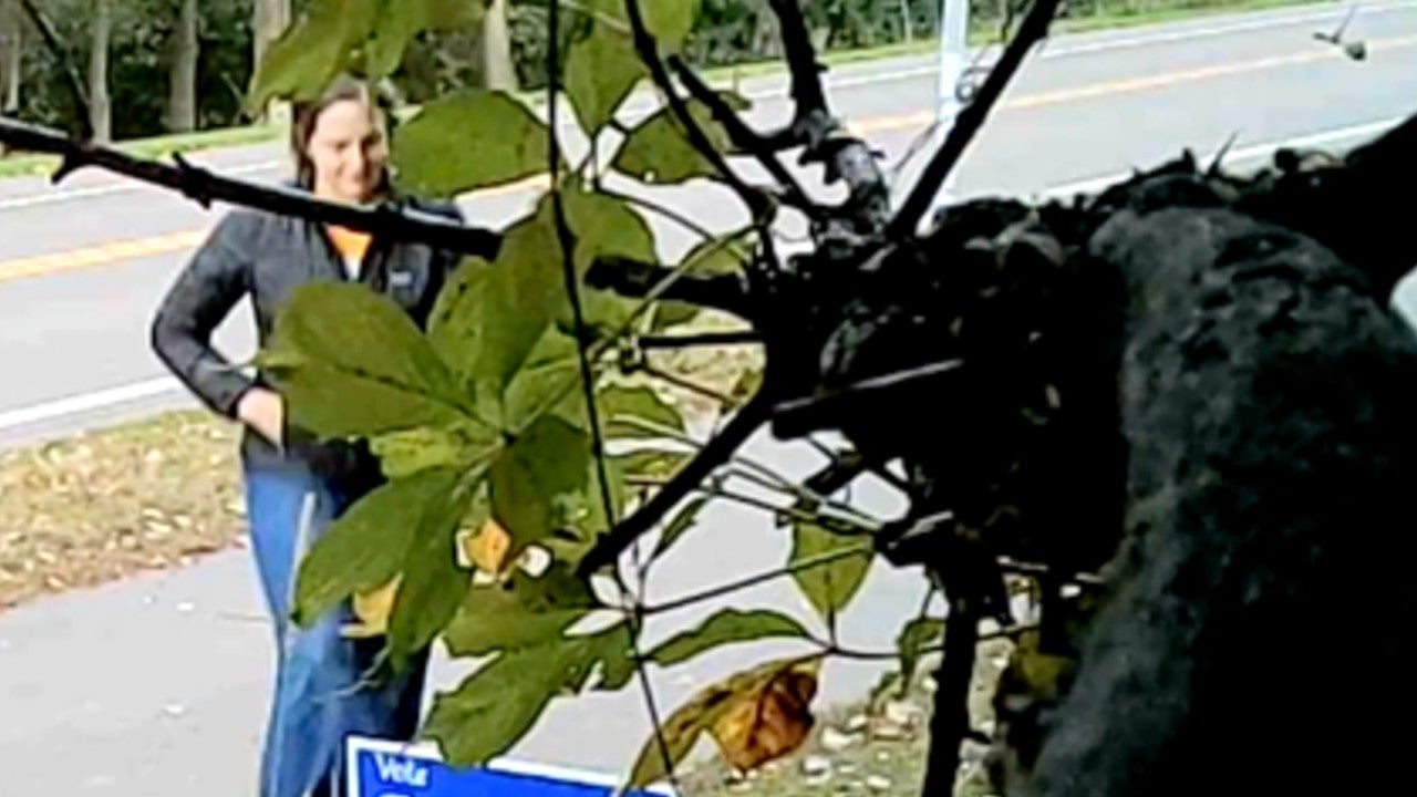Video: Vadnais Heights council member removes mayoral candidate’s campaign sign, tosses it aside — KSTP 5, Waconia Real Estate news