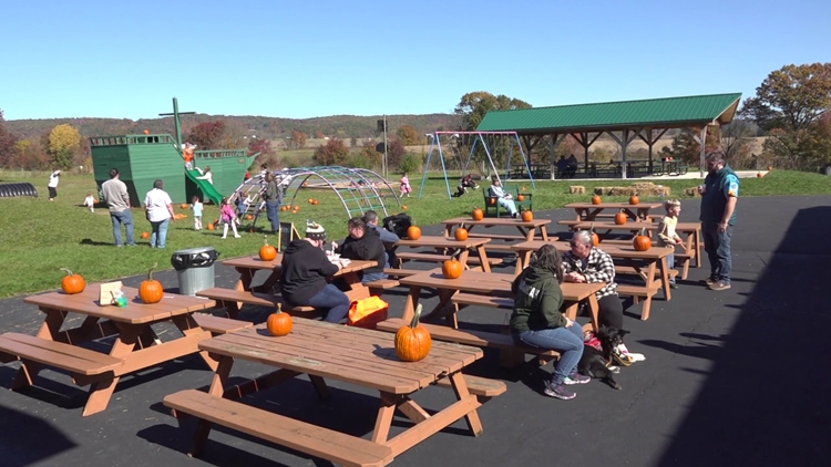 Outdoor festival in Columbia County brings together artists and businesses to connect with the community — WNEP 16 (Scranton/Wilkes-Barre), Waconia Arts news