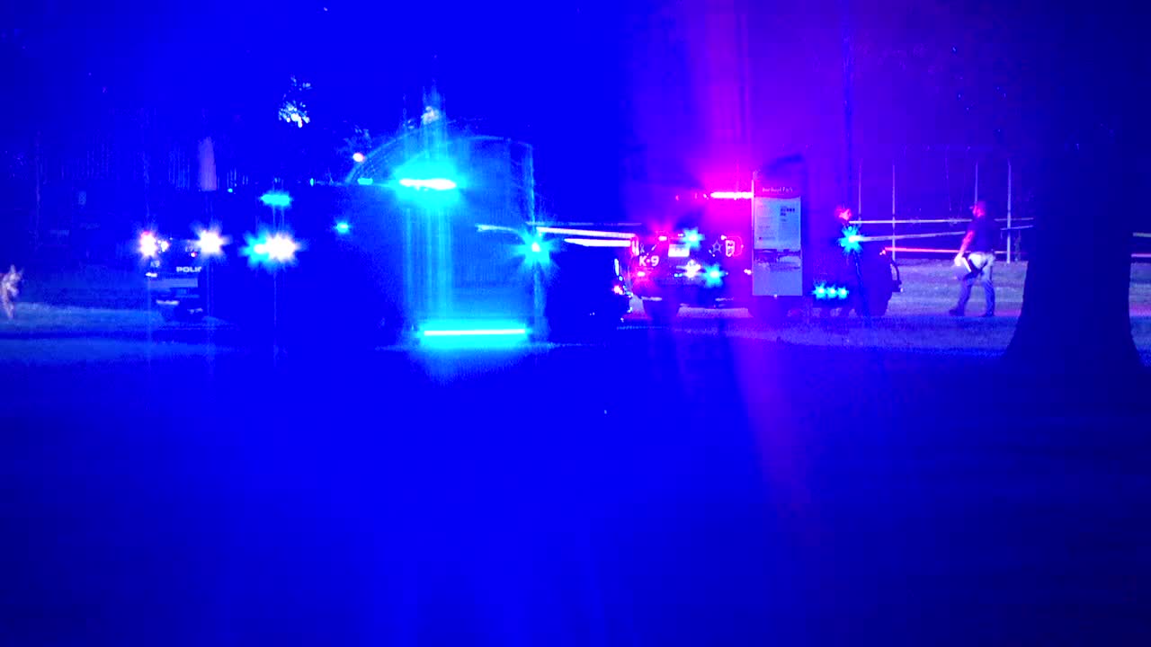 Brooklyn Park teen shooting suspect ordered to stand trial as adult — FOX 9, Waconia Community news