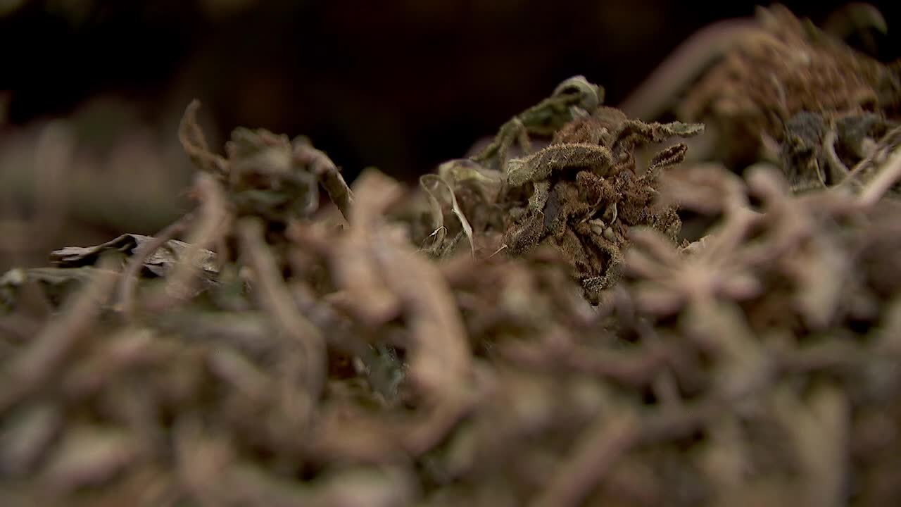 Hemp THC deadline hits $200 million industry, leads to layoffs, but liquor stores may maintain — FOX 9, Waconia Business news