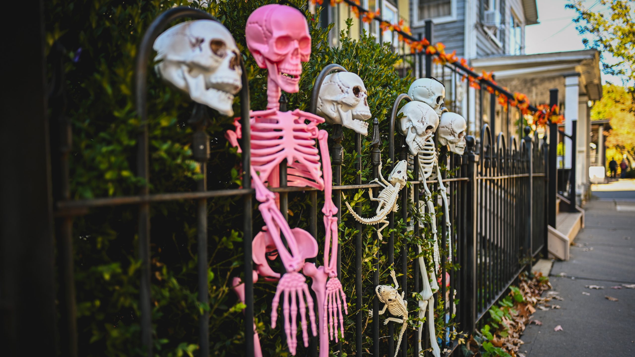 America's best cities for Halloween, ranked — FOX 9, Waconia Community news
