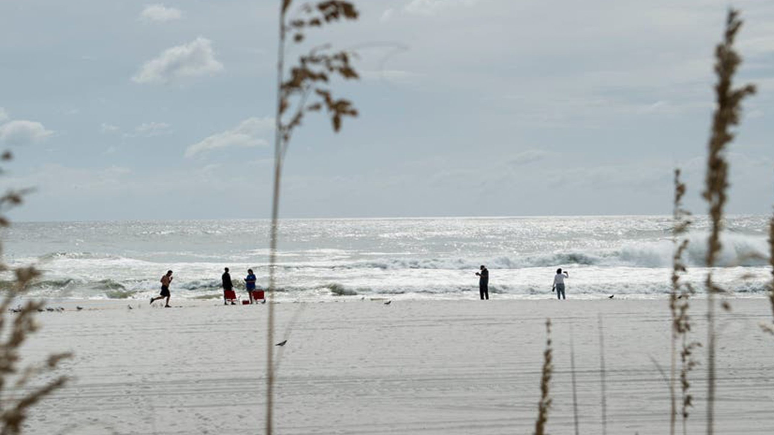 Father of 2 drowns after being caught in current trying to rescue seagull caught in fishing line — Waconia Community news