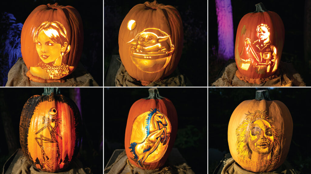 Where to celebrate Halloween and Día de los Muertos in the Denver metro — Denverite, Waconia Dining news