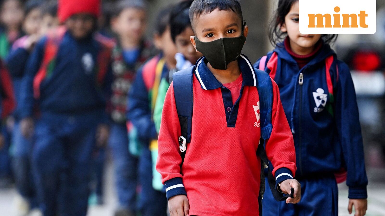 Chennai school holiday, Oct 21: Schools shut in four Tamil Nadu districts as heavy rains predicted | Check IMD alert — Mint India, Waconia Schools news